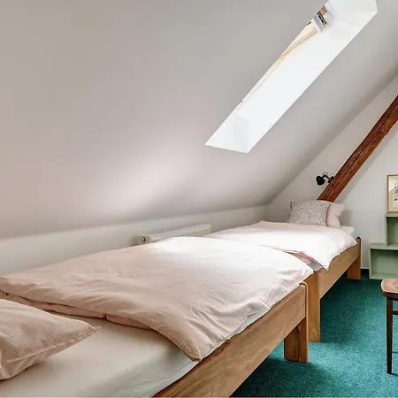 Betula Nove Mesto na Morave