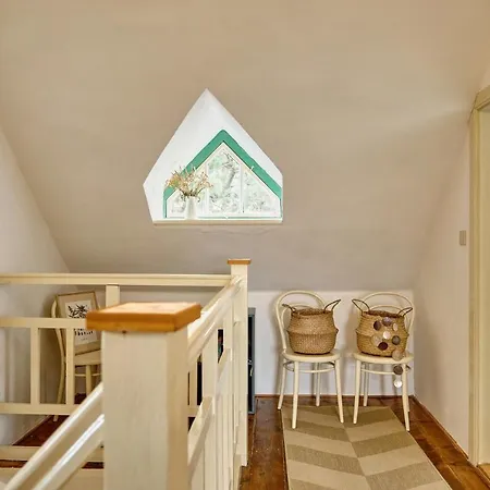 Betula * Nove Mesto na Morave