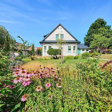 Betula Nove Mesto na Morave