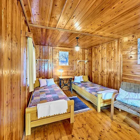 Betula * Nove Mesto na Morave