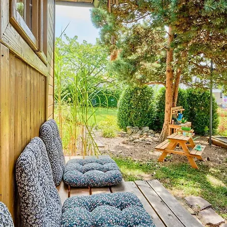 Betula * Nove Mesto na Morave