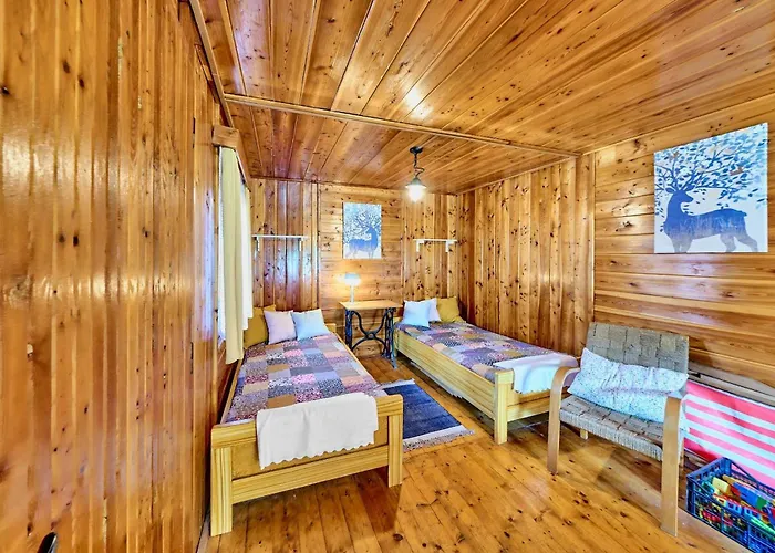 Betula * Nove Mesto na Morave